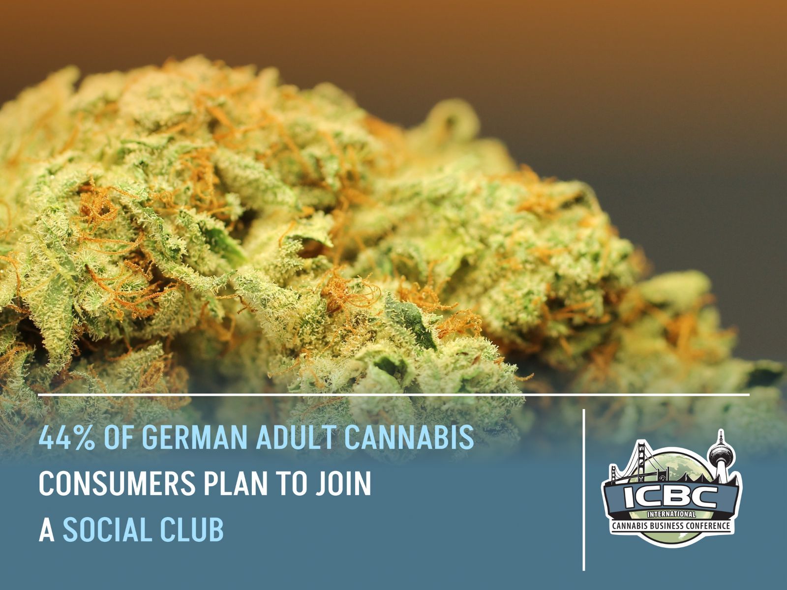 german cannabis clubs pronova bkk poll