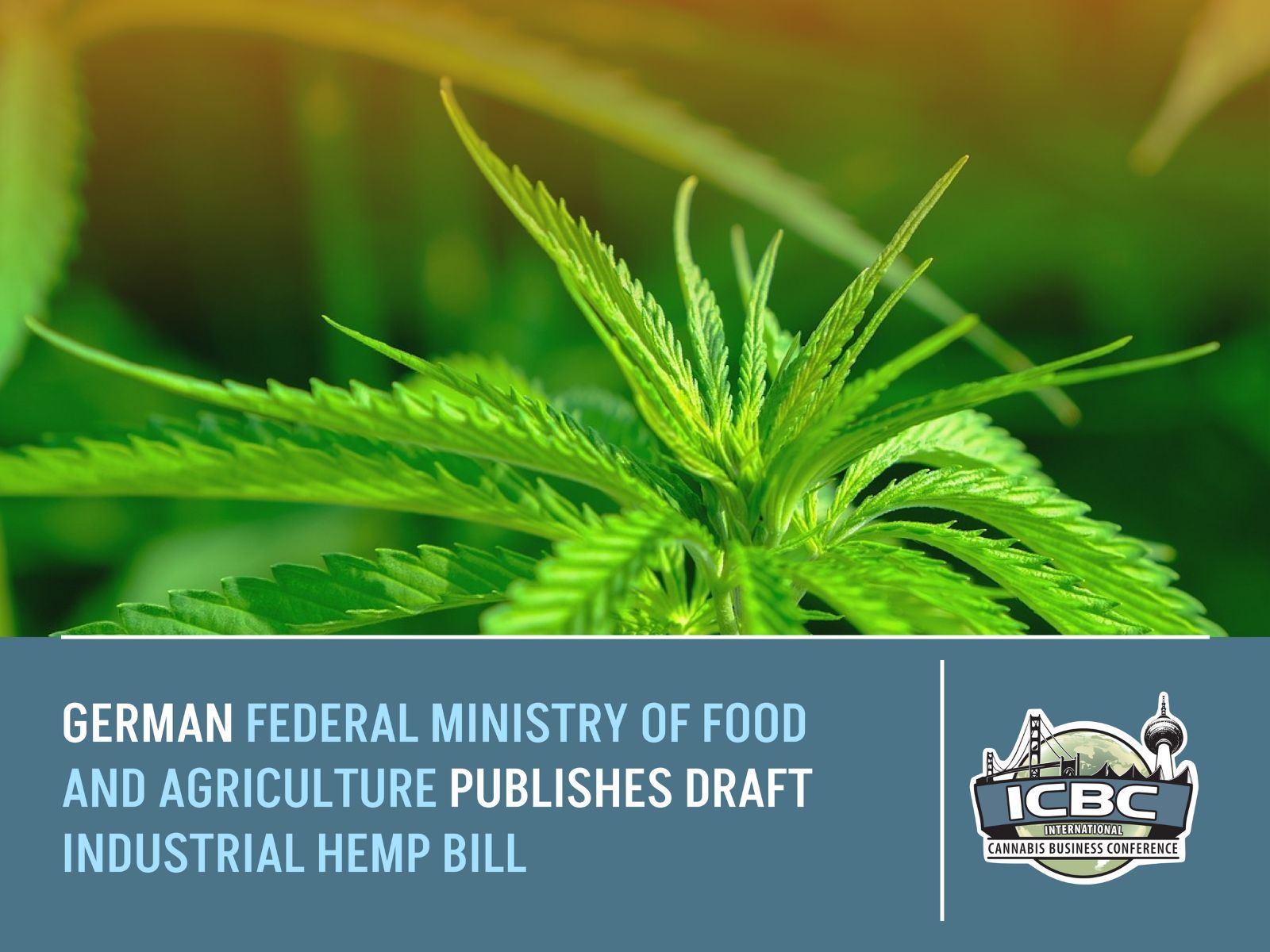 german hemp bill 2024