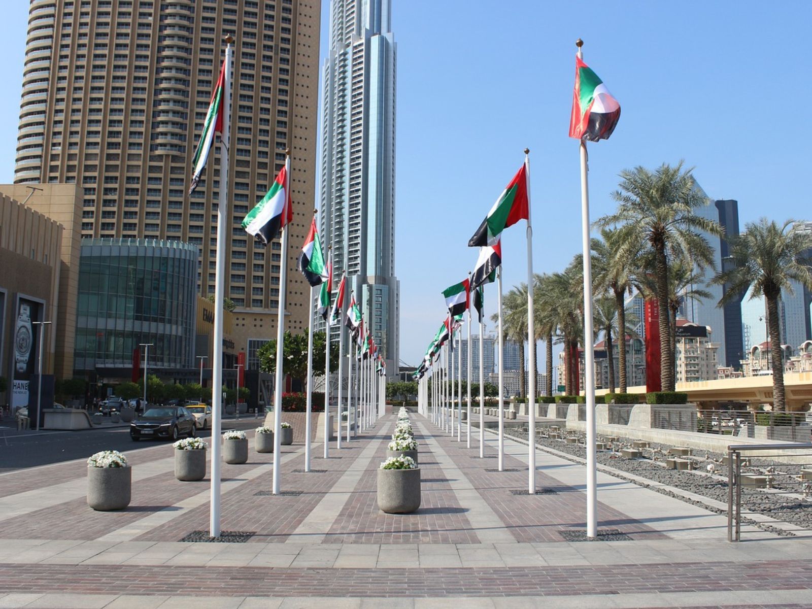uae united arab emirates flags flag