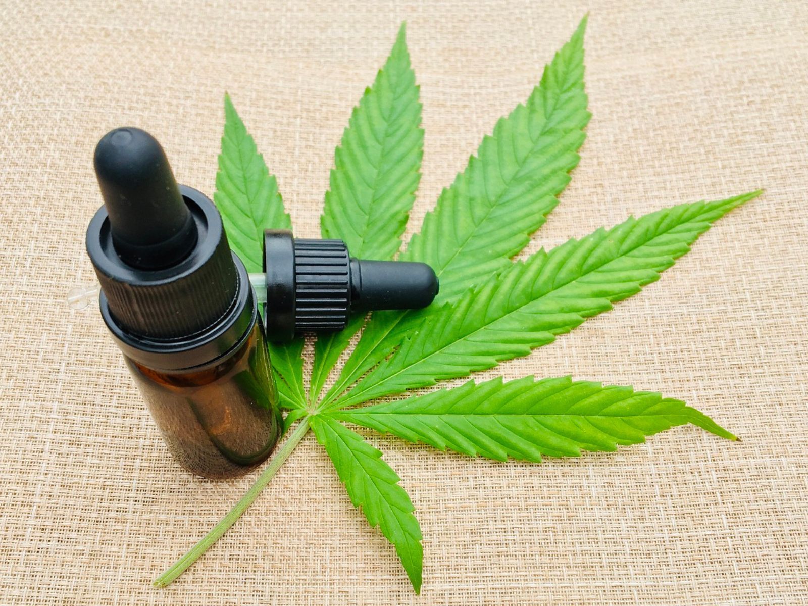 cannabis packaging tincture oil cbd thc cannabis packaging tincture oil cbd thc cannabis packaging tincture oil cbd thc