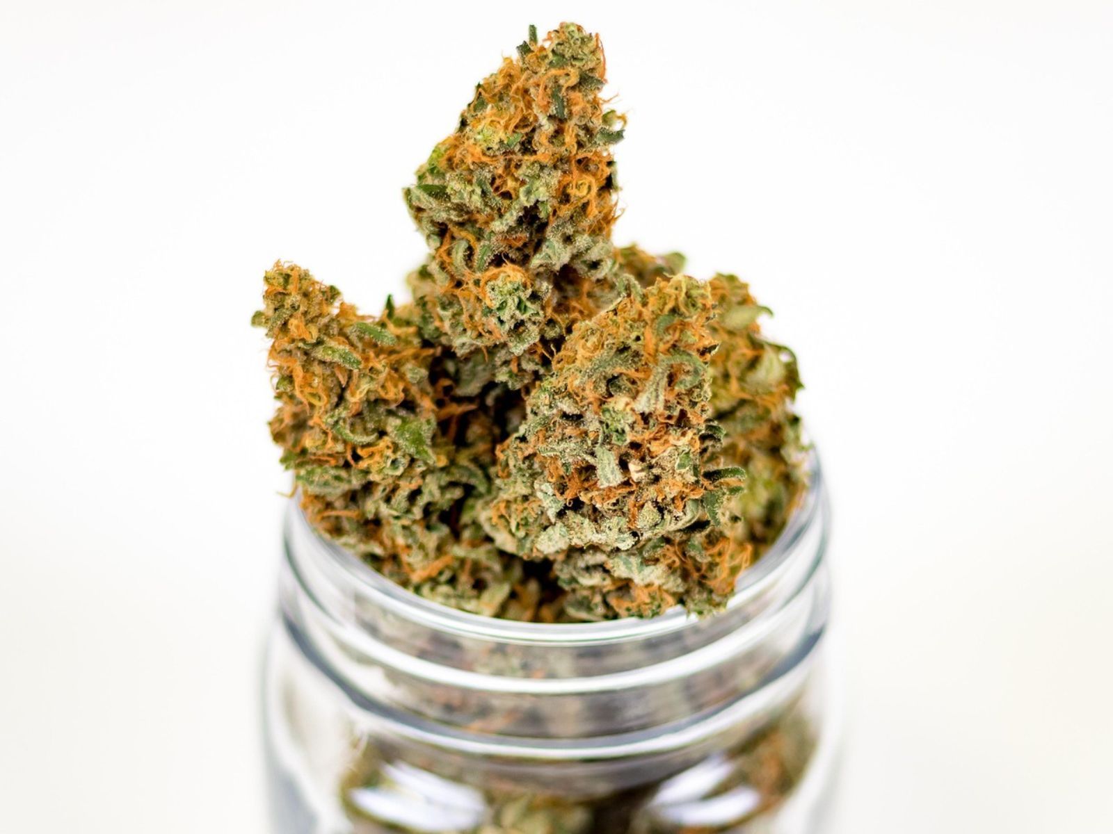 cannabis flower bud buds jar cannabis flower bud buds jar