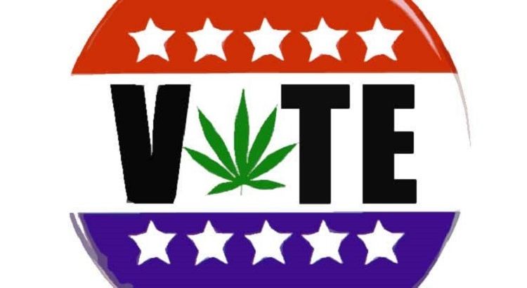 vote cannabis