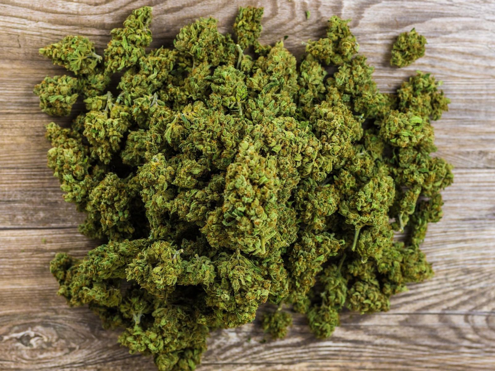 cannabis flower buds