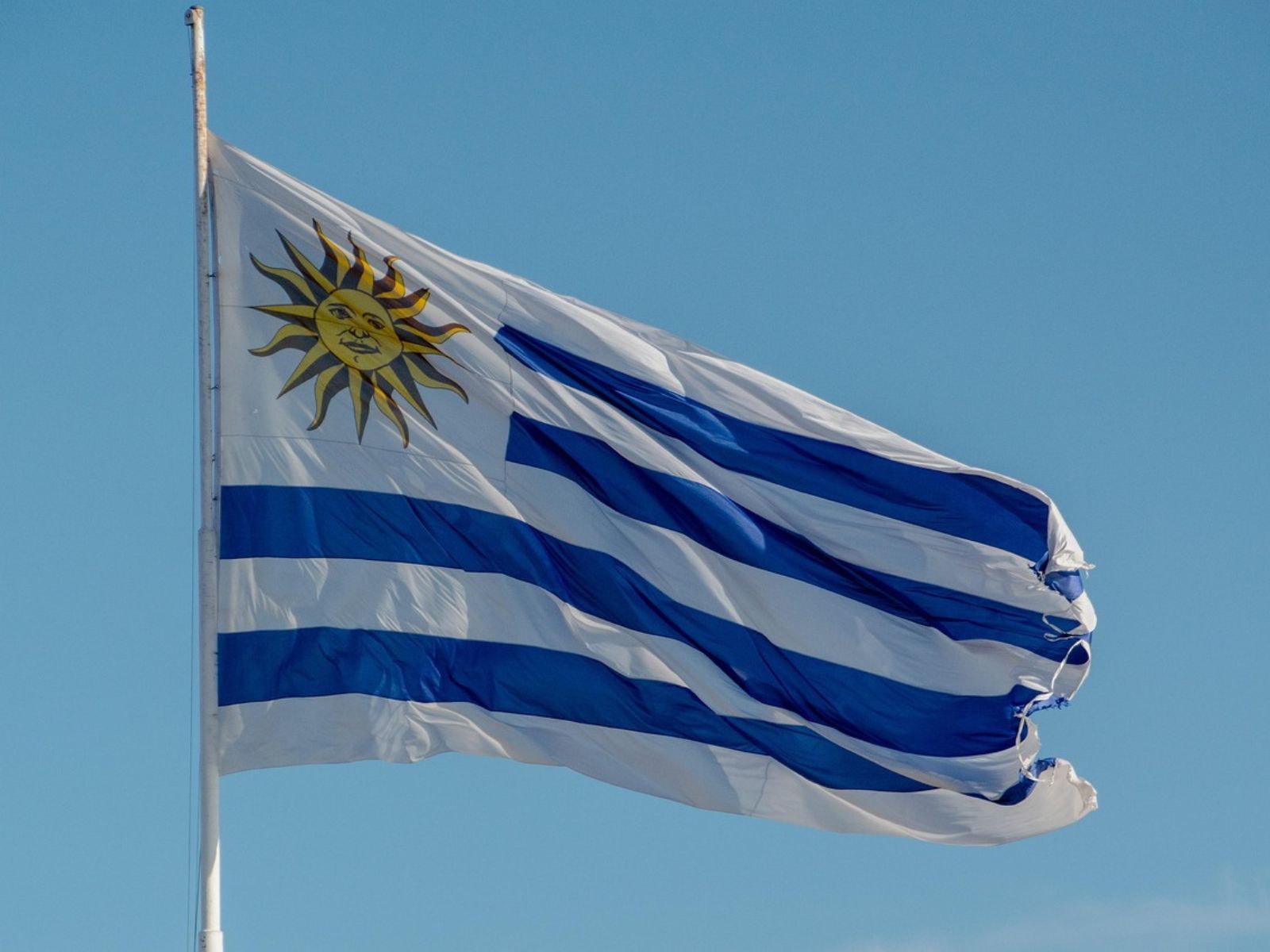 uruguay flag uruguay flag