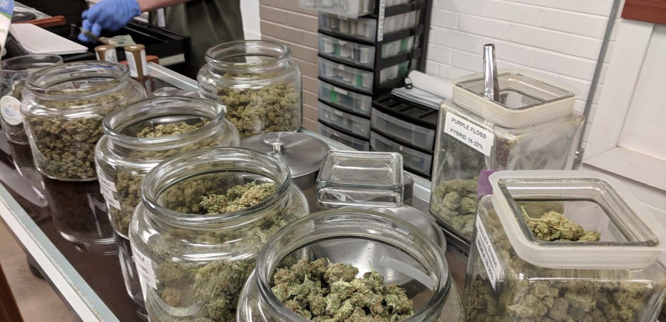 cannabis dispensary employee budtender cannabis dispensary employee budtender cannabis dispensary employee budtender