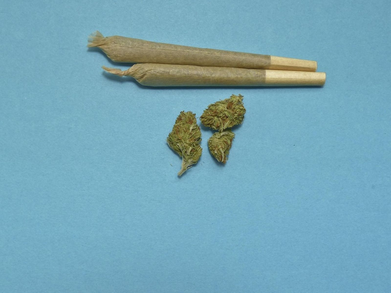 cannabis joints flower buds