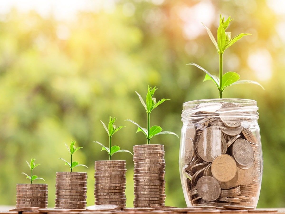 cannabis banking