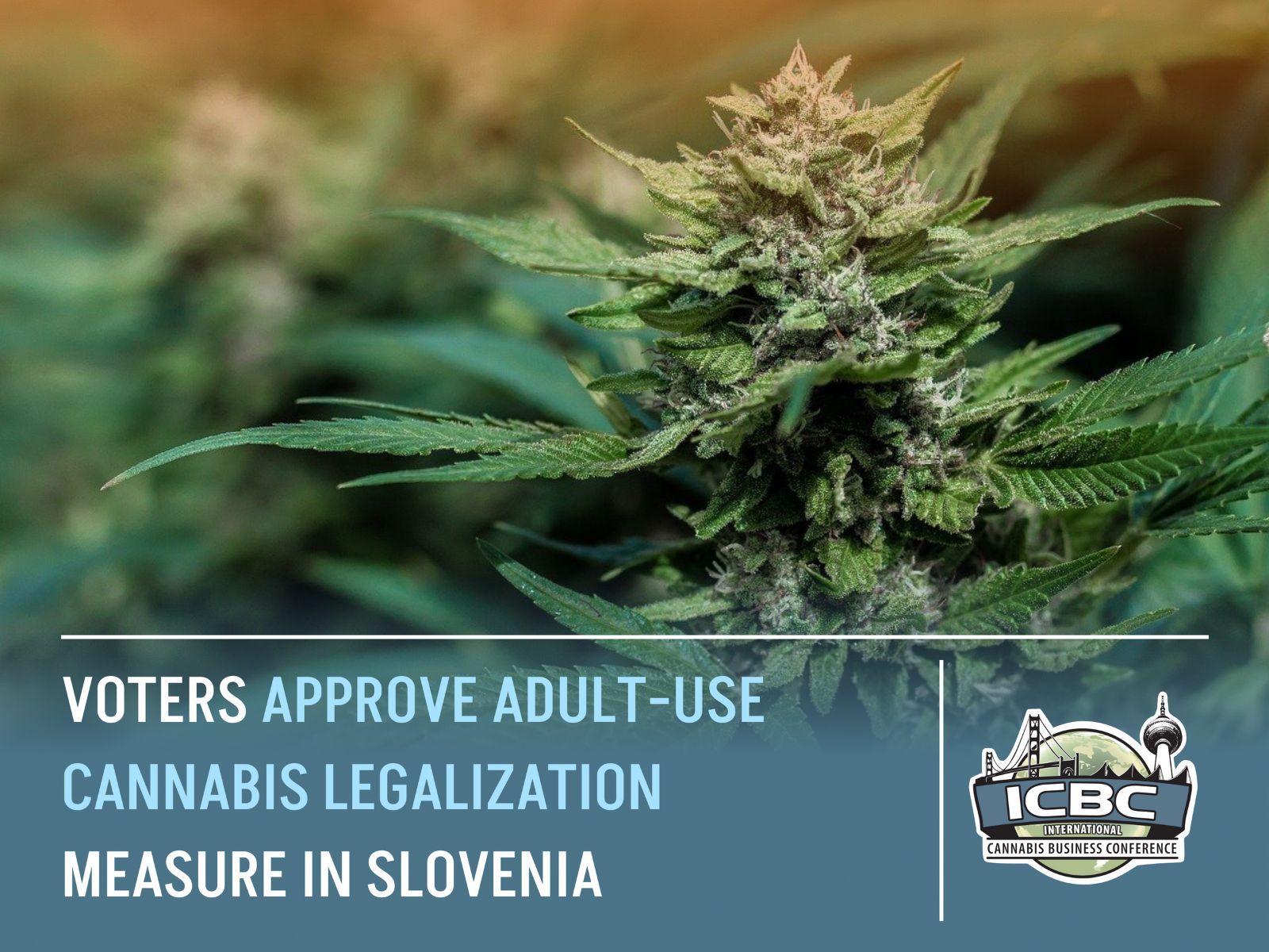 adult use cannabis legalization vote slovenia
