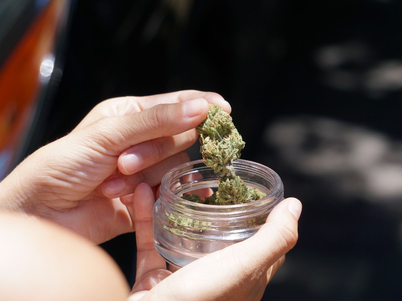jar of cannabis flower jar of cannabis flower jar of cannabis flower