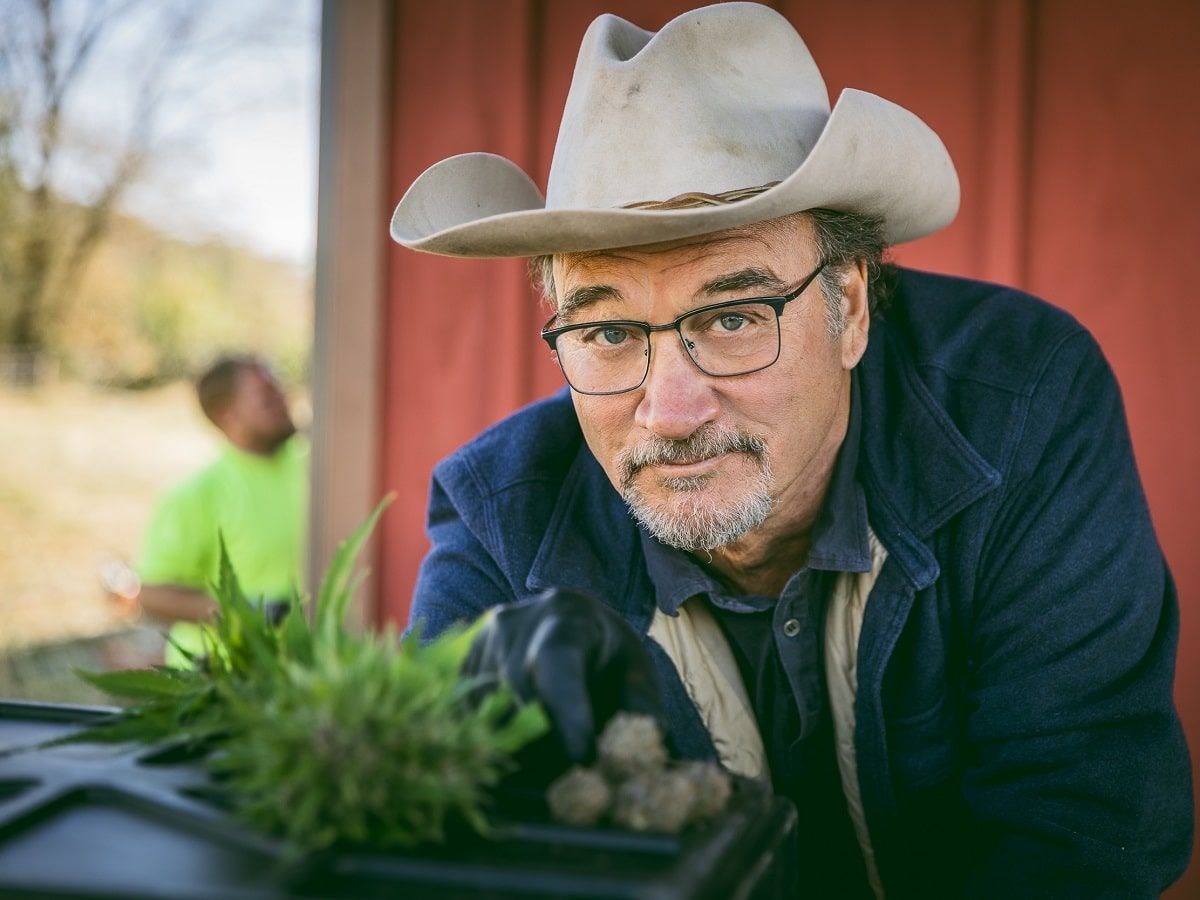 jim belushi belushi's farm cannabis