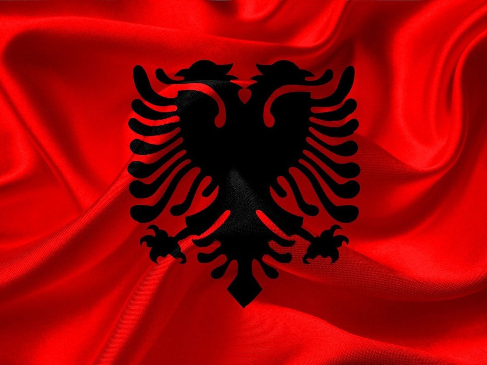 albania flag albania flag