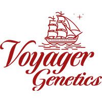 Voyager Genetics