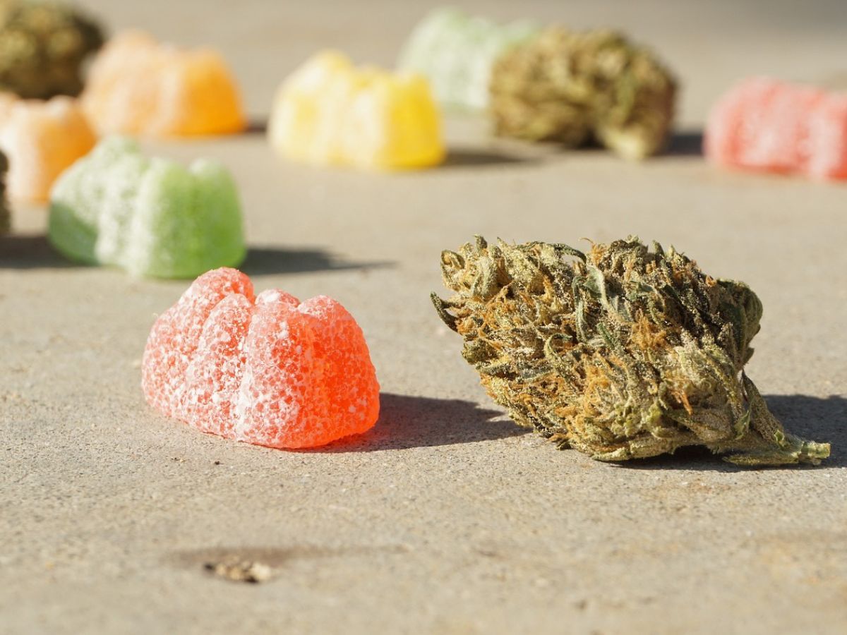 cannabis gummies
