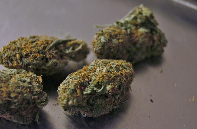cannabis