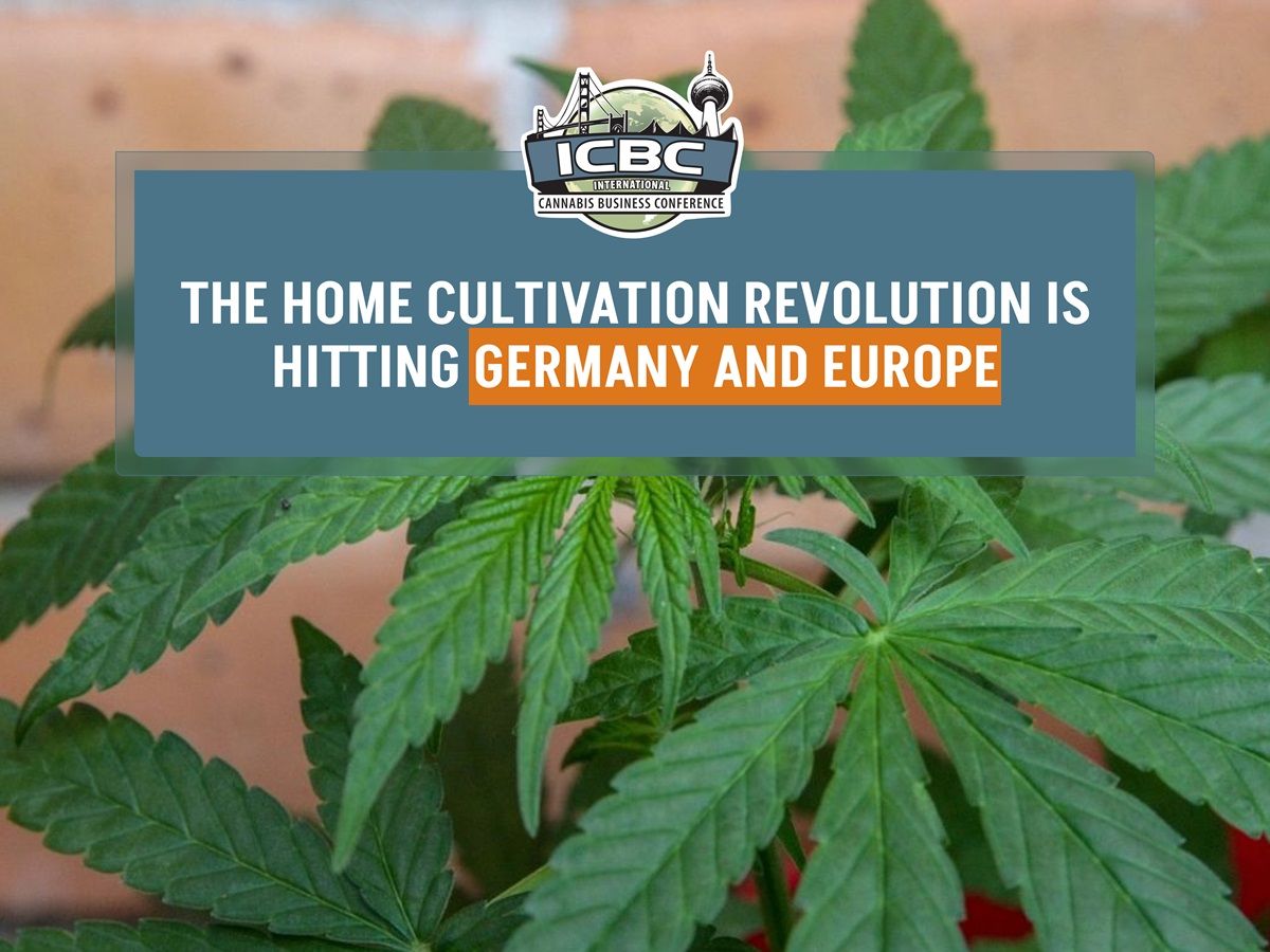 The home cultivation revolution is hitting Germany and Europe
