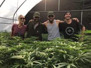 Cannafornia