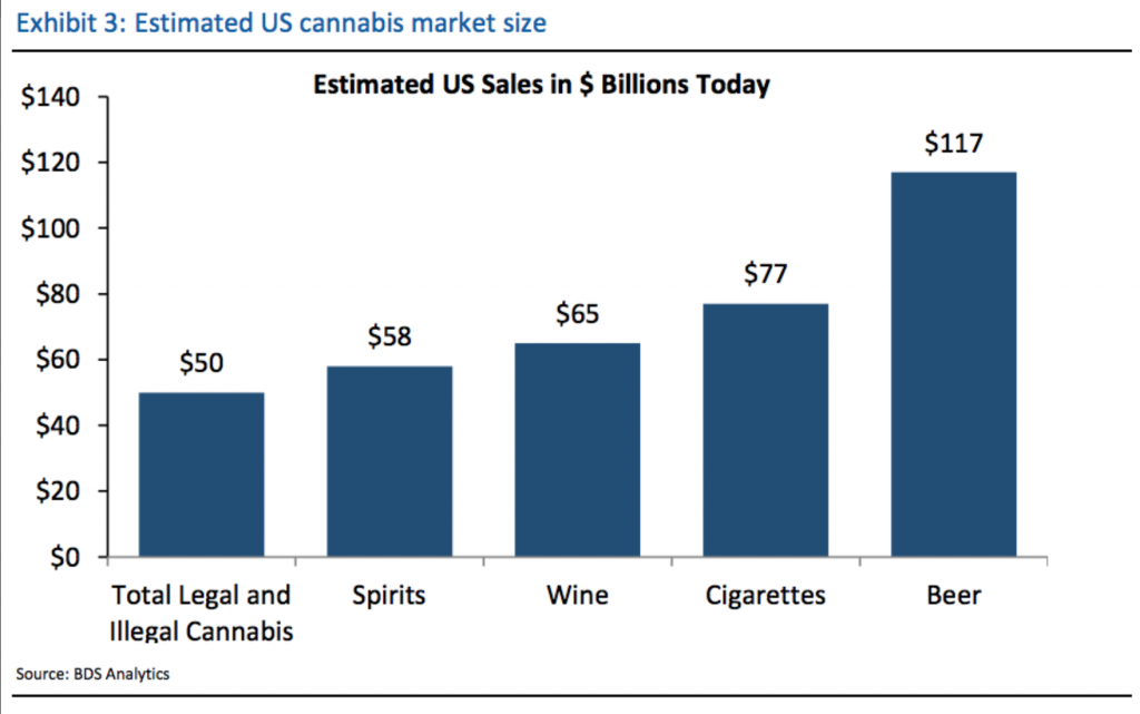 BDS Analytics sales revenue