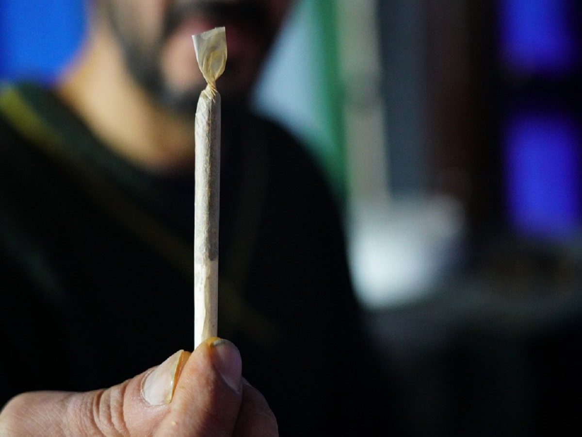 Cannabis cigarette joint