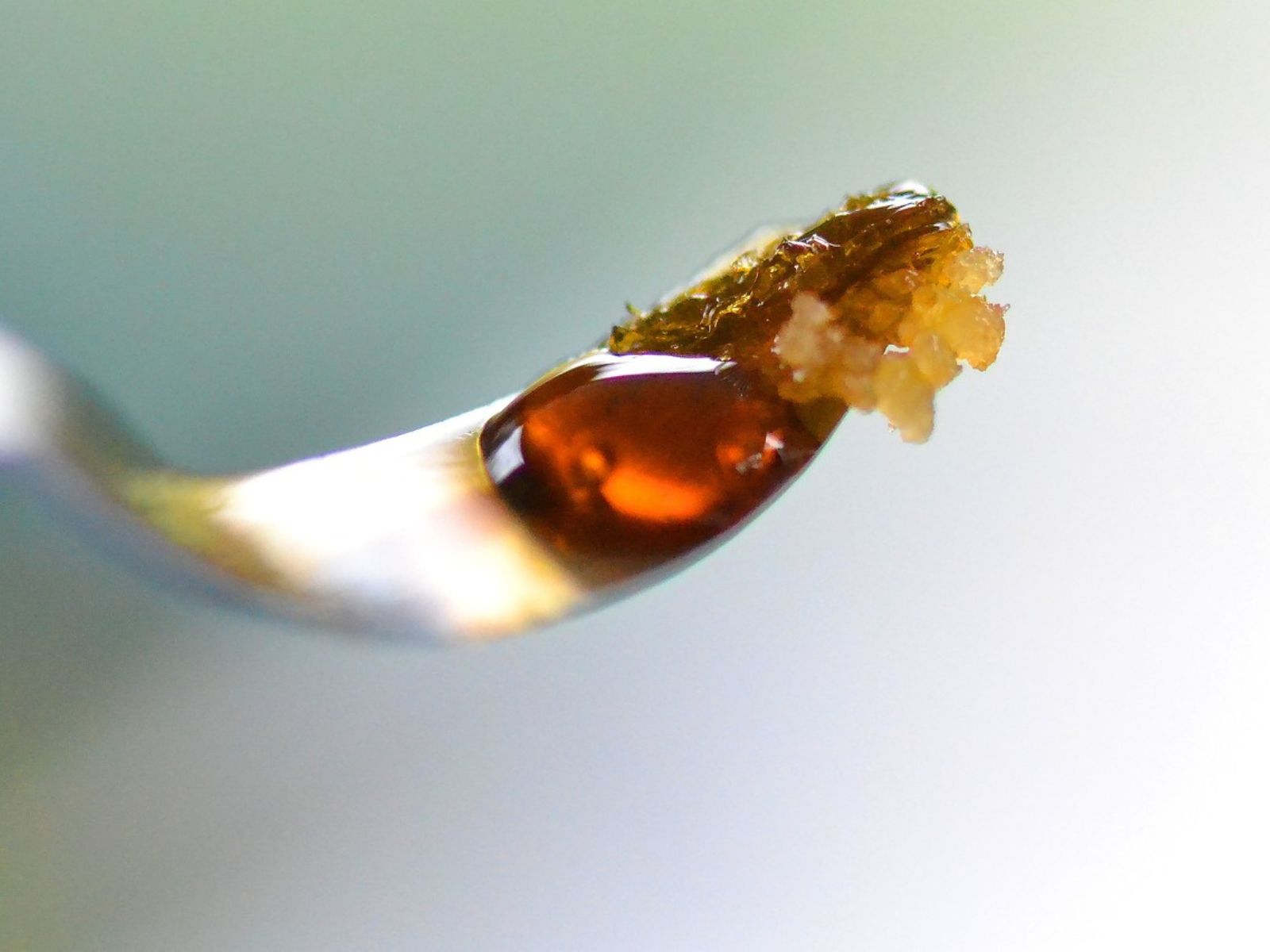 cannabis concentrate concentrates dabs rosin resin hash hashish