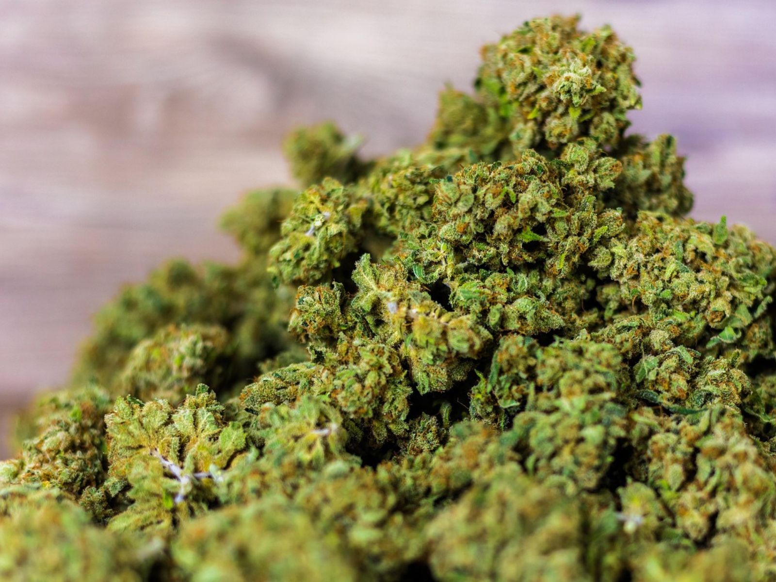 cannabis flower buds