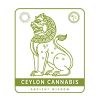 Ceylon Cannabis