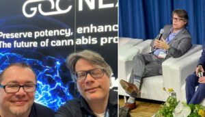 Diplomat Consulting image